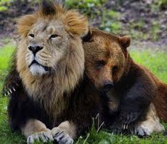 THE LION AND THE BEAR