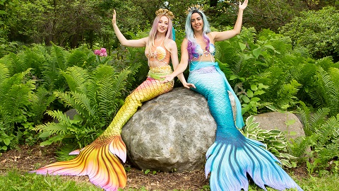 The Two Beautiful Mermaids